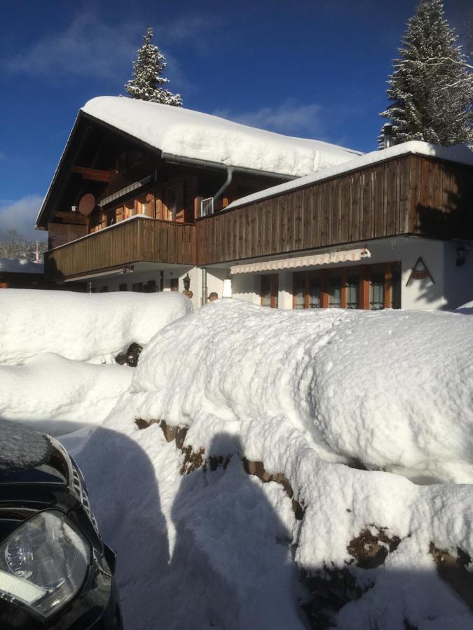 Chalet Erika Eriz Exterior photo
